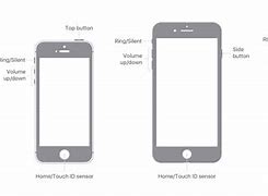 Image result for iPhone 10 Anatomy