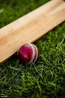 Image result for Cricket Bat HD Images