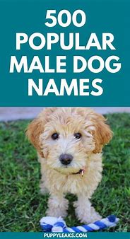 Image result for Boy Dog Names List