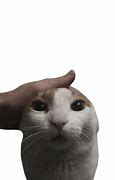 Image result for Big Hand Petting Meme