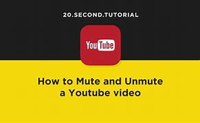 Image result for Unmute YouTube
