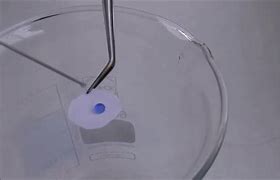 Image result for Superhydrophobe