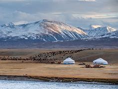 Image result for Mongolia
