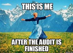 Image result for Audit Meme for Get