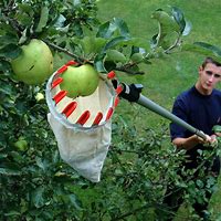 Image result for Fruit Harvester Trigger Hook