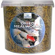 Image result for Sakana Dried Mealworms