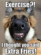 Image result for Dog From Pet Food and Meme