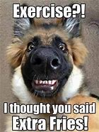 Image result for Animal Jokes That Make You Laugh