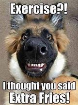 Image result for Dog Meme My Name Is Stop That