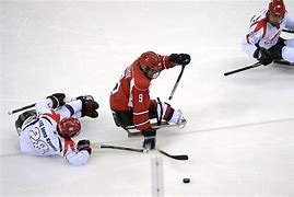 Image result for Types of Hockey