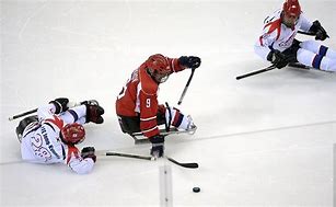 Image result for Types of Hockey