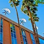 Image result for Arizona University Campus