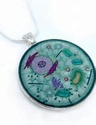 Image result for Necklace Cells