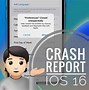 Image result for iOS Bug Report