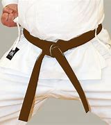 Image result for Brown Karate Belt