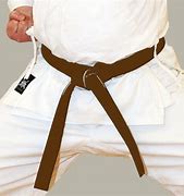 Image result for Brown Karate Belt