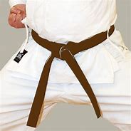 Image result for Brown Belt Karate Moves