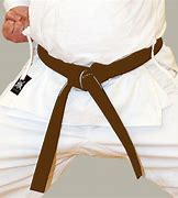 Image result for Brown Belt Karate
