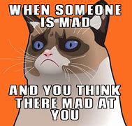 Image result for Grumpy Cat Meme Blank