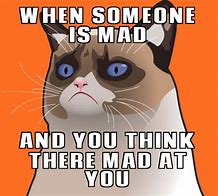 Image result for Die Grumpy Cat Memes