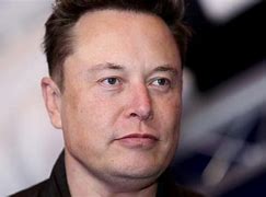 Image result for Elon Musk Buff