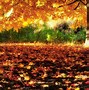 Image result for Fall Scenery Wallpaper Desktop