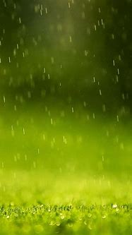 Image result for Green Rain iPhone Wallpaper
