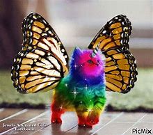 Image result for Rainbow Unicorn Kitten with Butterfly Wings Flying