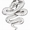 Image result for Snake with Legs Drawing