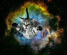 Image result for Galaxy Cat Laptop Wallpaper