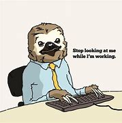 Image result for Meme Slow Sloth Working