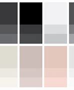 Image result for Minimalistic Color Palette
