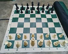 Image result for Eureka Chess Board