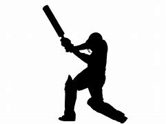 Image result for Cricket