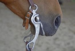 Image result for Horse Bit Tongue