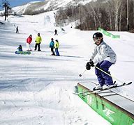 Image result for Park Skiing