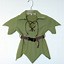 Image result for Green Tunic Costume