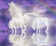 Image result for Unicorn Pegasus Horse