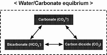 Image result for Carbonate Equilibrium