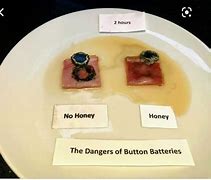 Image result for Button Battery On Meat