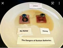 Image result for Button Battery and Honey