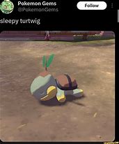 Image result for Turtwig Memes