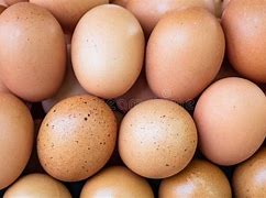 Image result for Brown Chicken Eggs
