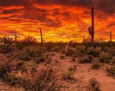 Image result for American Desert Sky