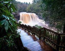 Image result for Best Tourist Attractions Near Me