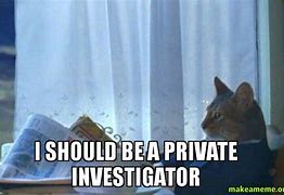 Image result for Private Investigator Meme