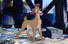 Image result for Disney Lady and the Tramp Cat
