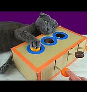 Image result for DIY Cardboard Cat Ball Toy