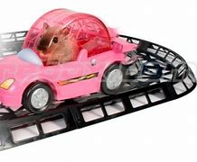 Image result for Hamster Wheel Car