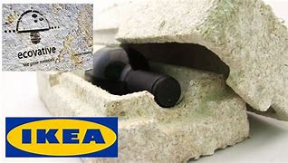Image result for IKEA Mushroom Packaging